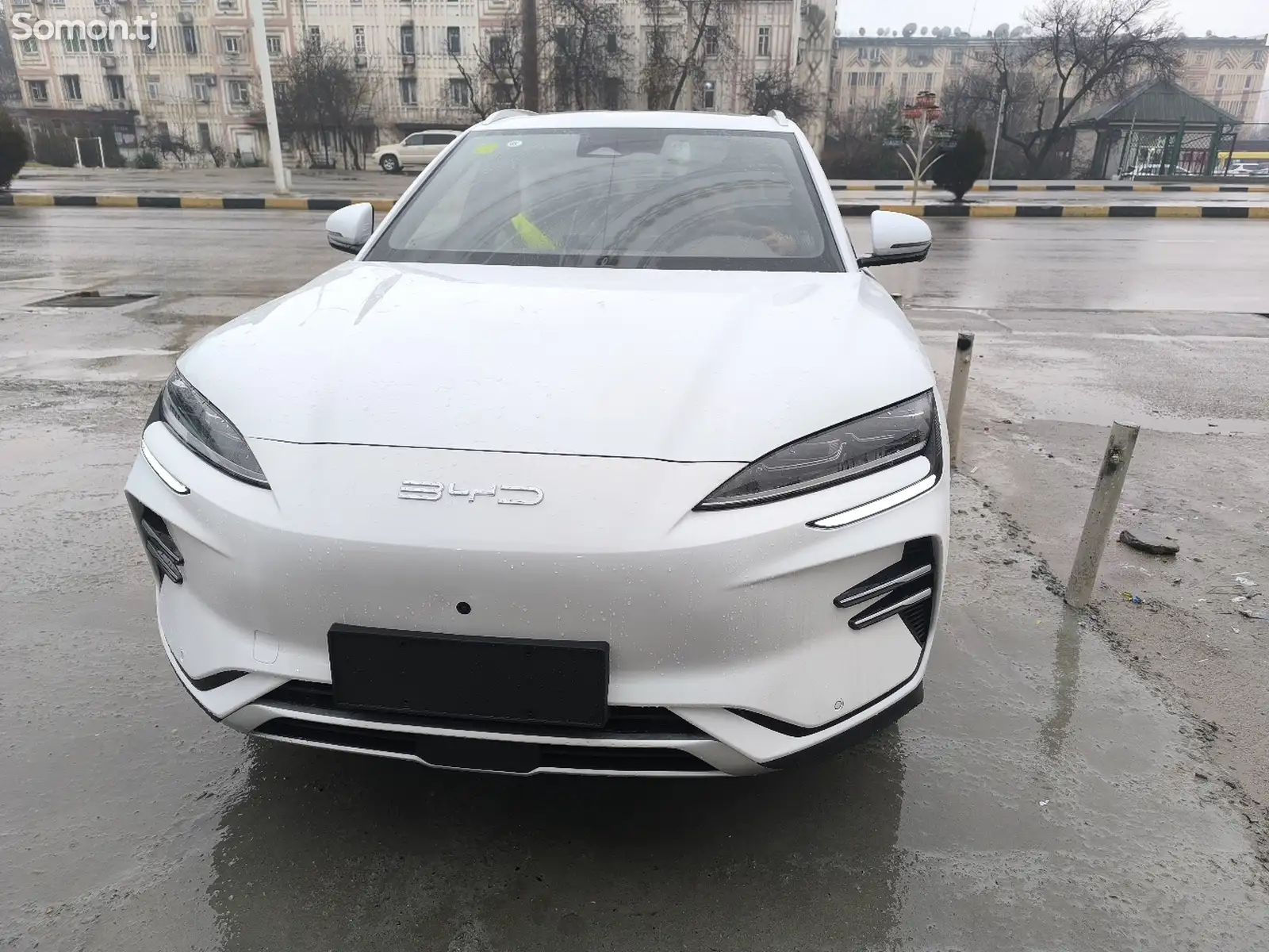 BYD Song Plus Flagship, 2024-1