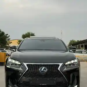 Lexus NX series, 2019