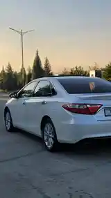 Toyota Camry Gracia, 2017-3