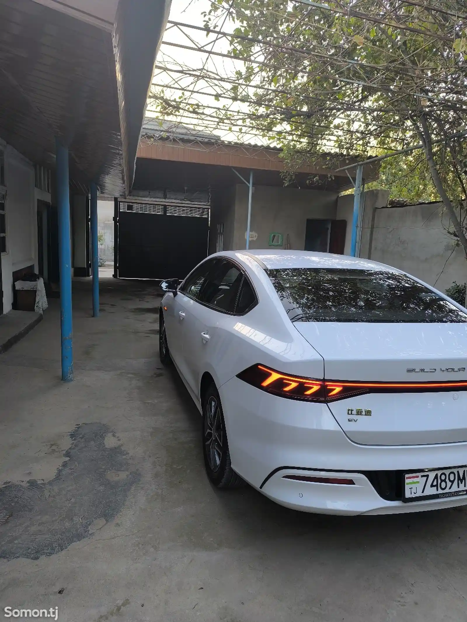 BYD Qin Plus, 2024-5