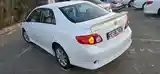 Toyota Corolla, 2010-3