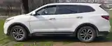 Hyundai Santa Fe, 2017-5