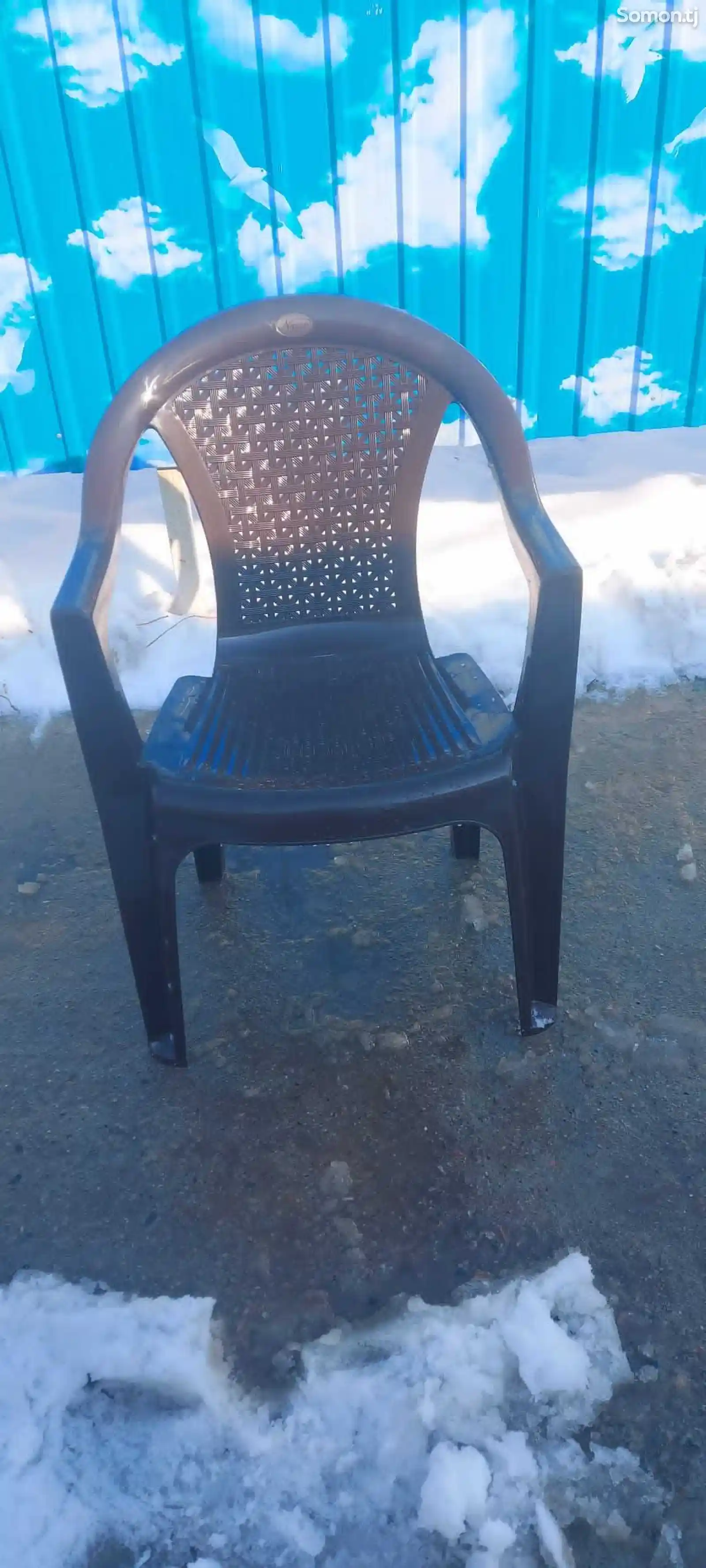 Прокат стульев-1