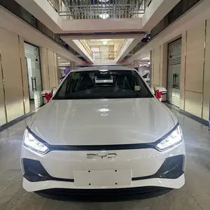 BYD E2, 2024