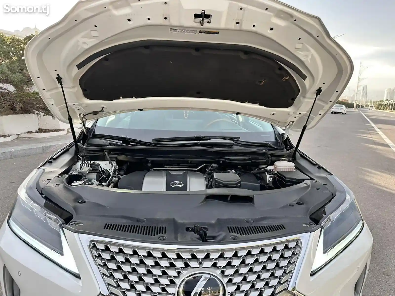 Lexus RX series, 2018-13