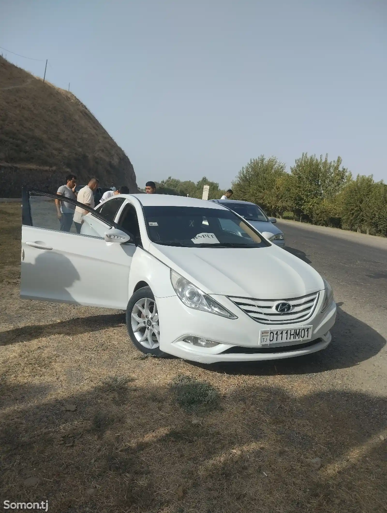 Hyundai Sonata, 2010-1