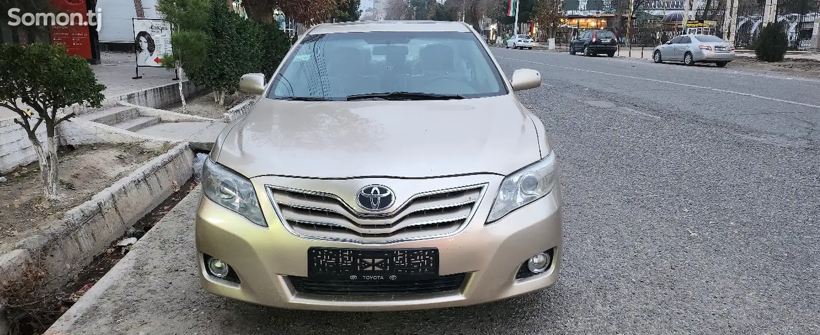 Toyota Camry, 2010-1