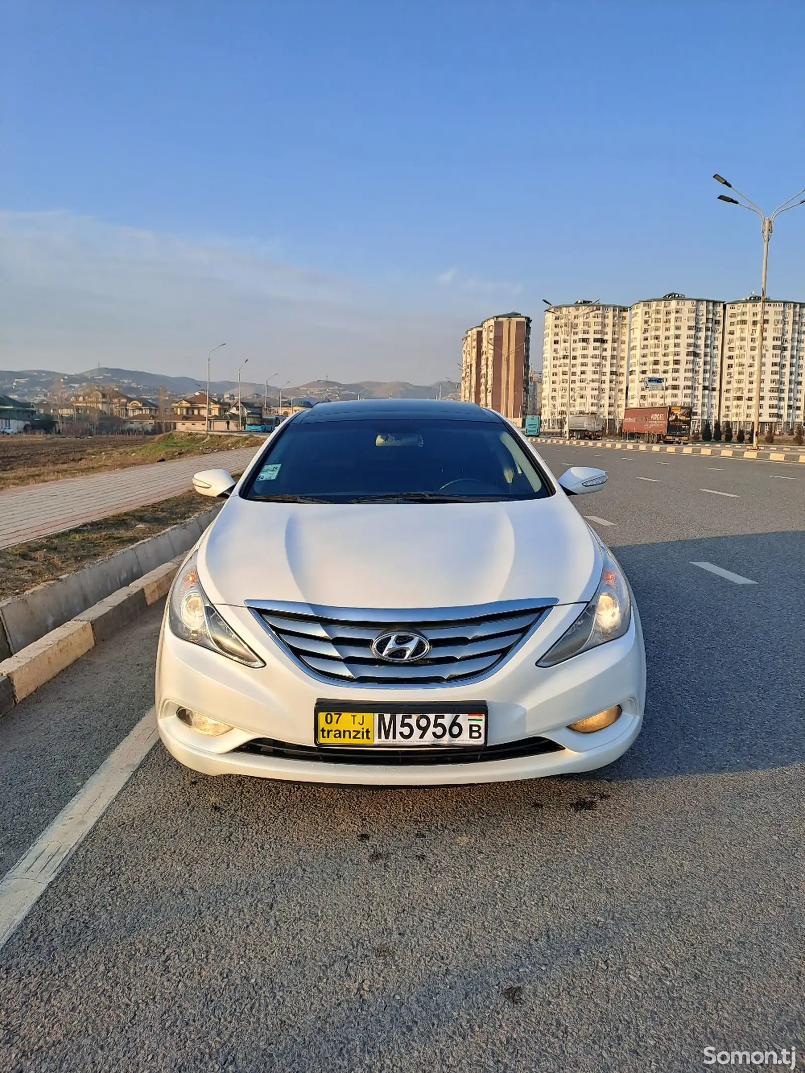 Hyundai Sonata, 2010-1