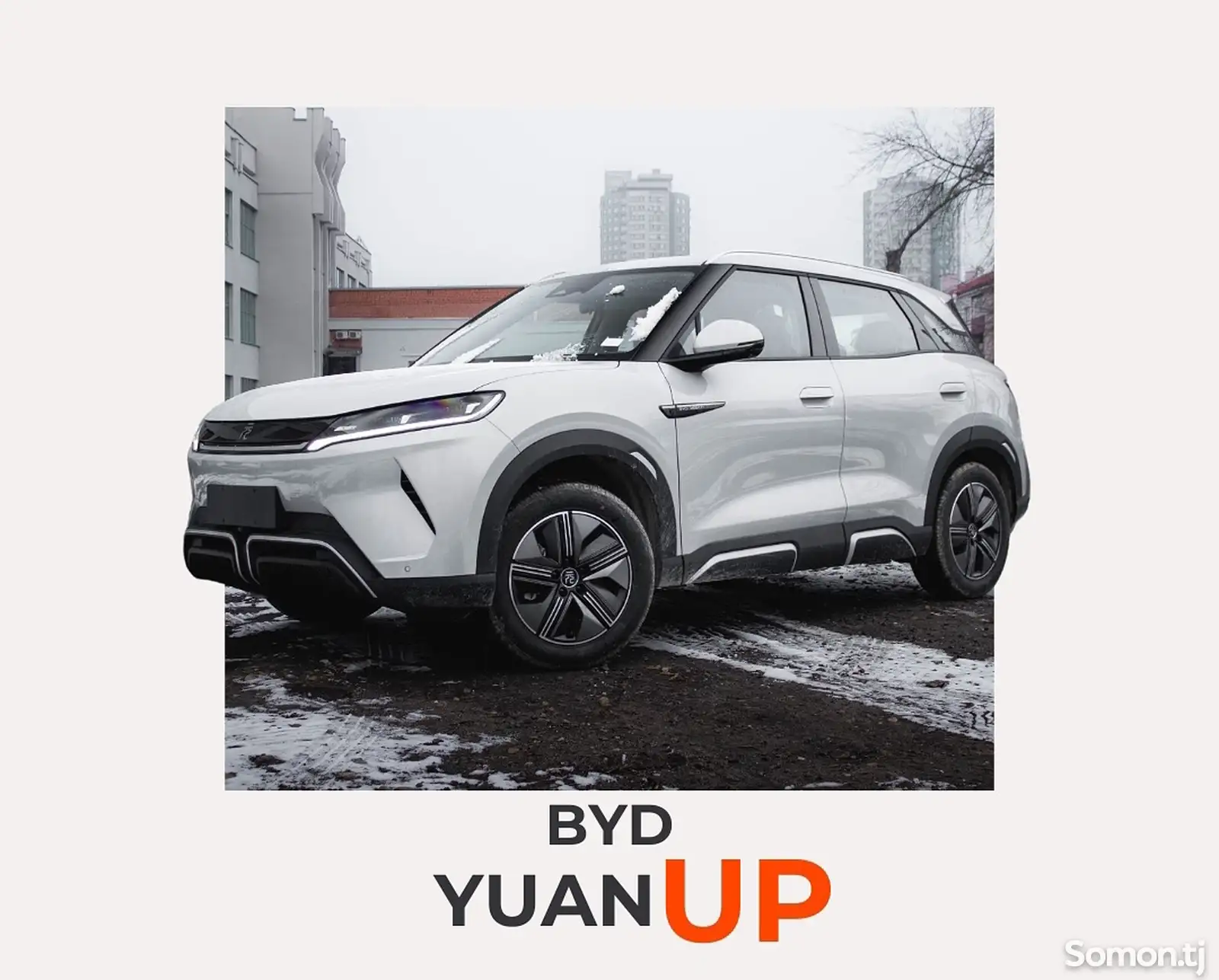 Чехол торпеды byd yuan up замшевый-1