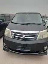 Toyota Alphard, 2008-5