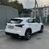 Lexus NX series, 2017-11