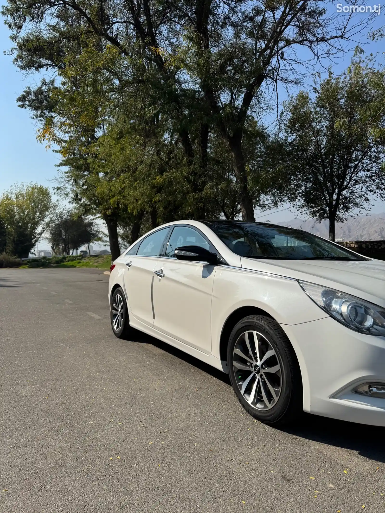 Hyundai Sonata, 2010-3