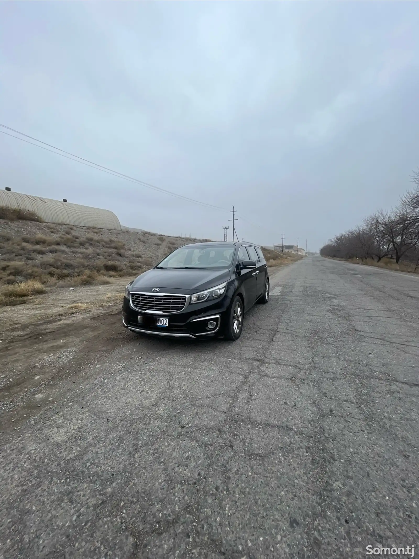 Kia Carnival, 2015-1