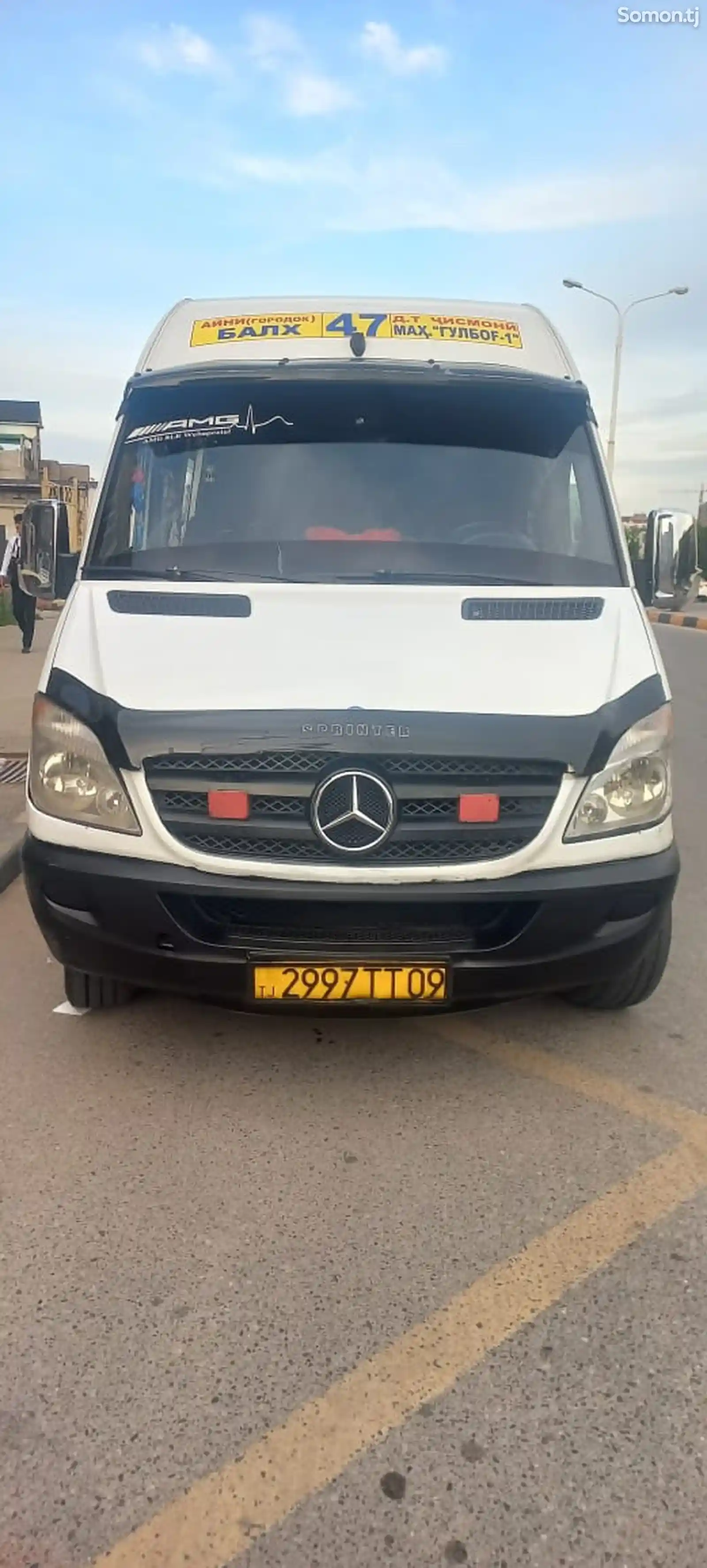 Микроавтобус Mercedes-Benz Sprinter, 2008-5