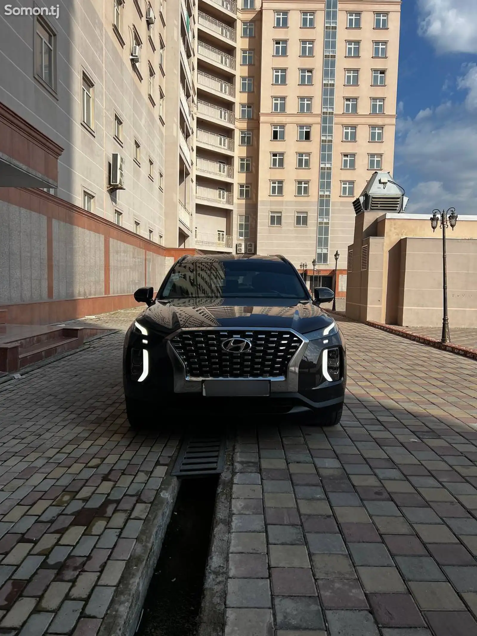 Hyundai Palisade, 2020-1