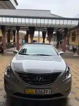 Hyundai Sonata, 2010-4