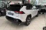 Toyota RAV 4, 2024-7