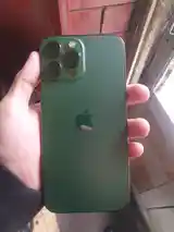 Apple iPhone 13 Pro Max, 256 gb, Alpine Green-2