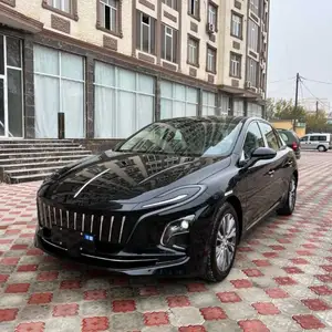 Hongqi E-QM5, 2024