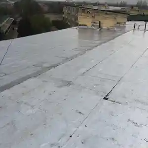Ремонт крыши толом