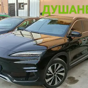 BYD Song Plus Flagship, 2024