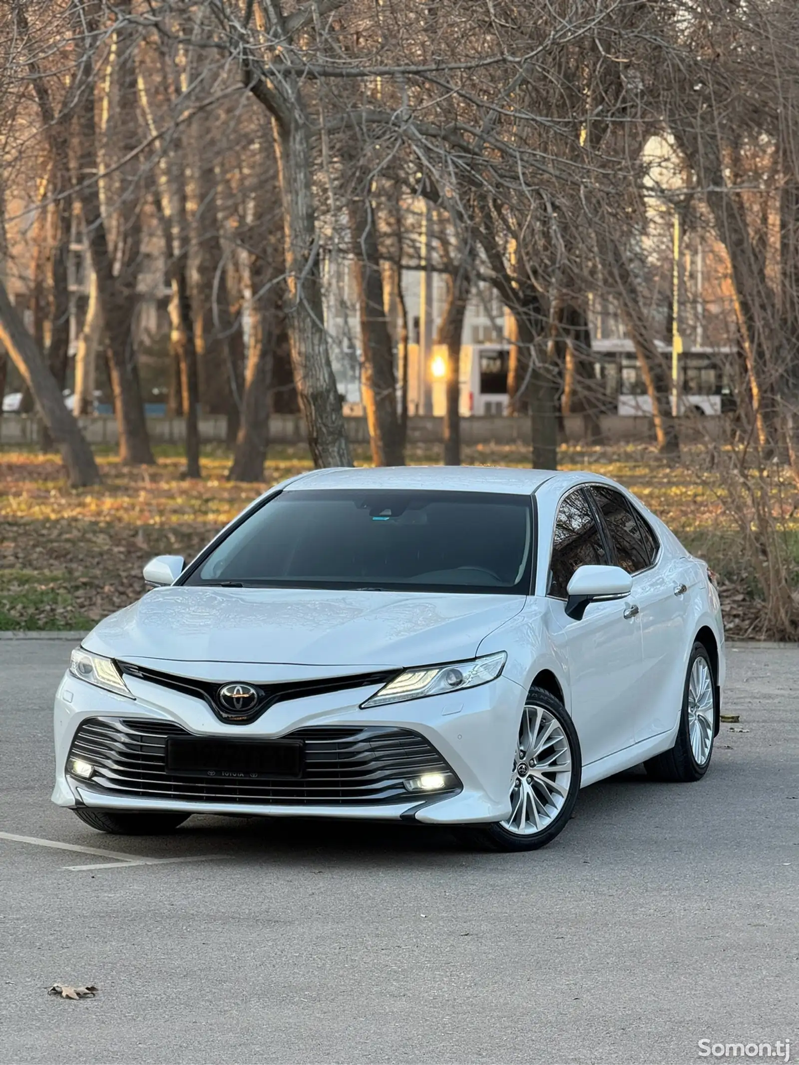 Toyota Camry, 2019-1