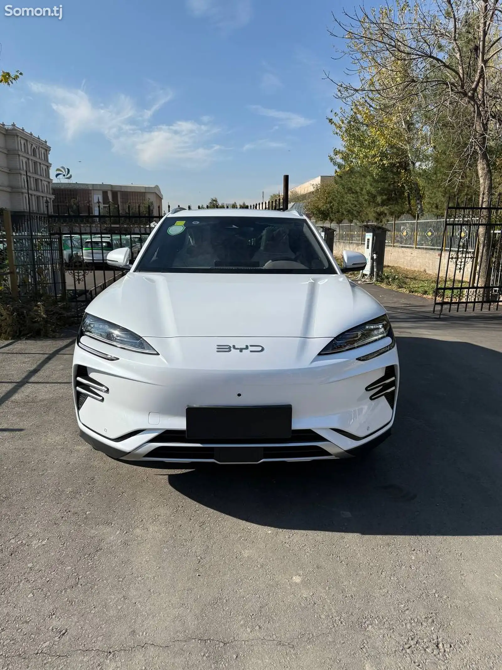 BYD Song Plus Flagship, 2024-1