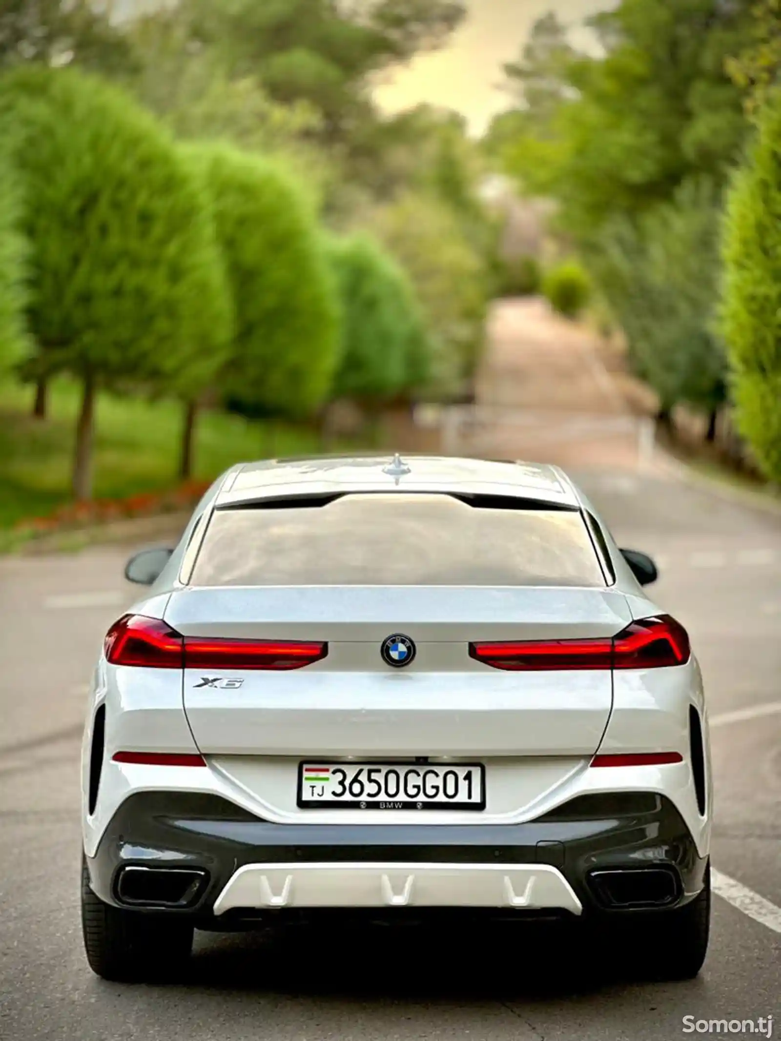 BMW X6, 2022-5