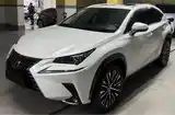 Lexus NX series, 2021-4