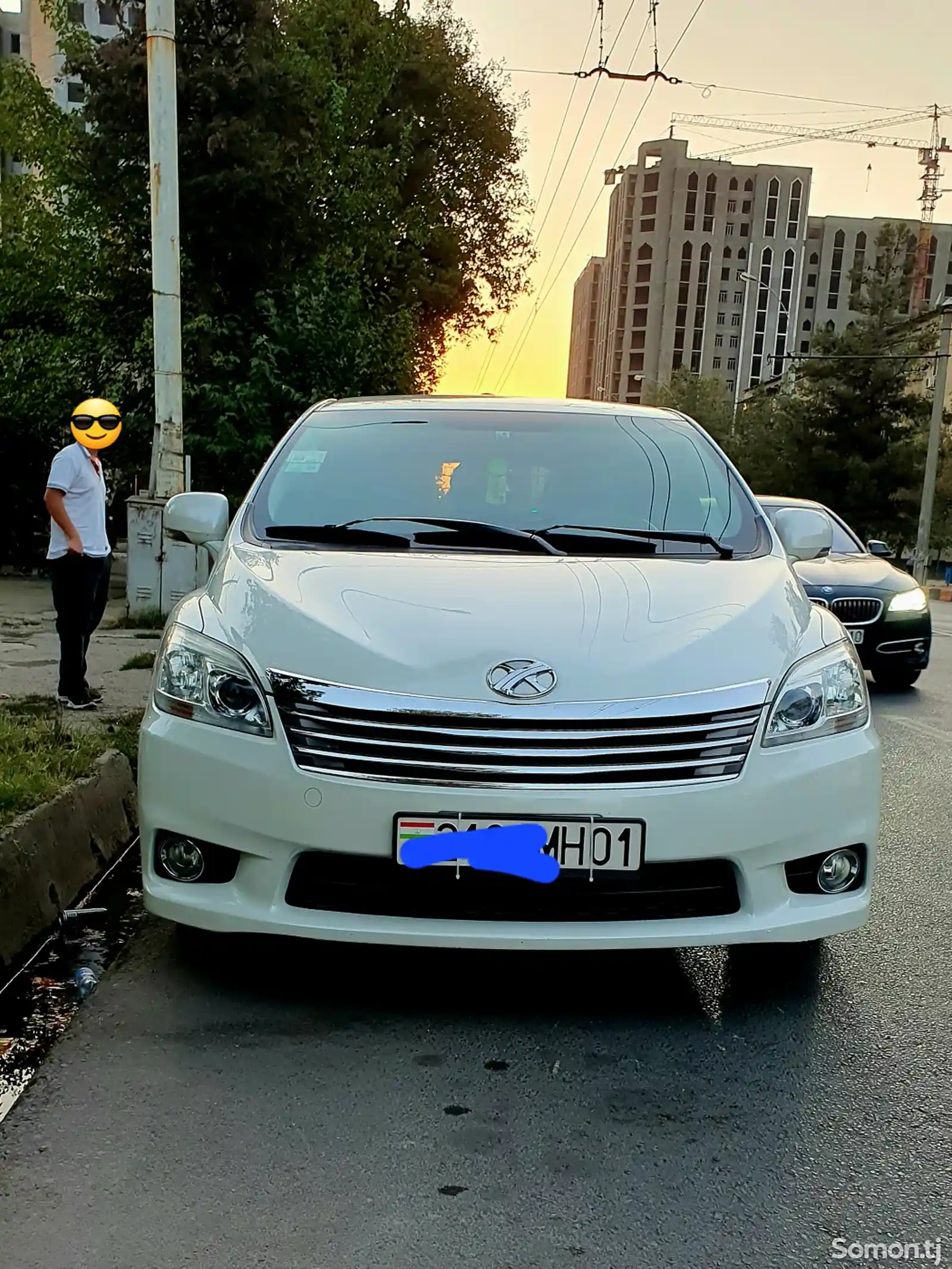 Toyota Mark X ZiO, 2013-5