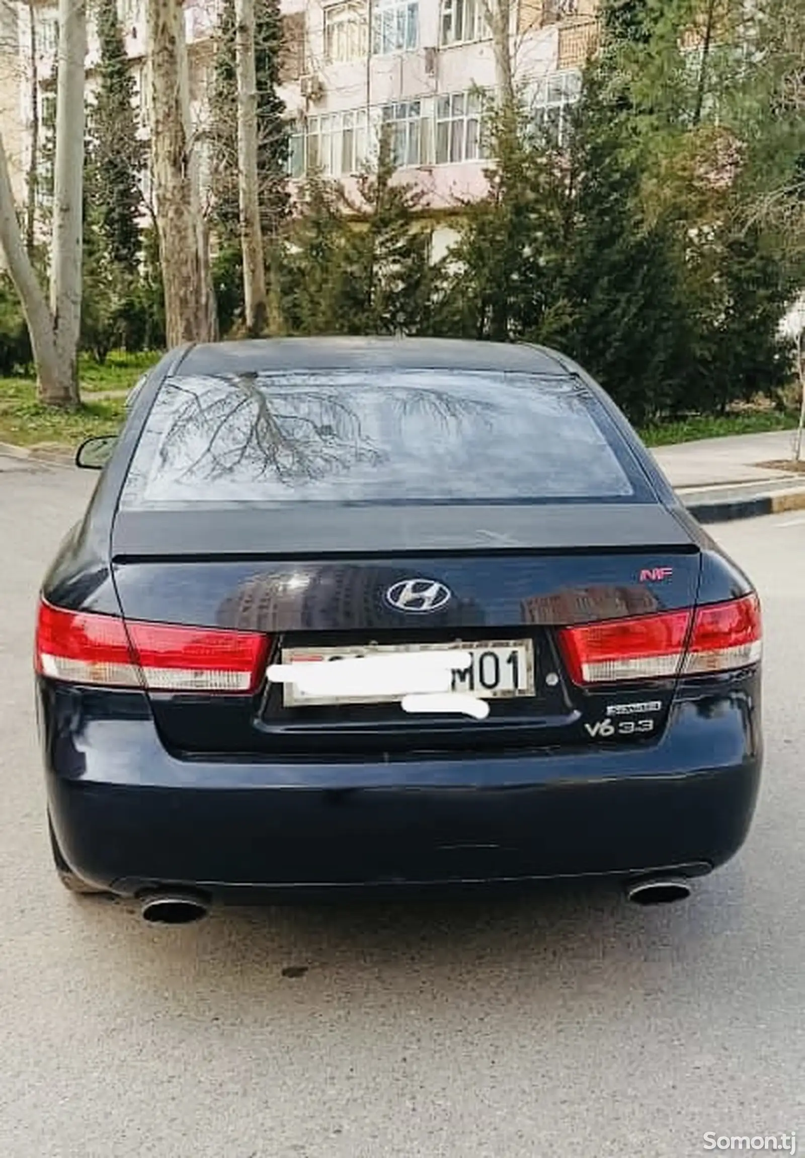 Hyundai Sonata, 2007-1