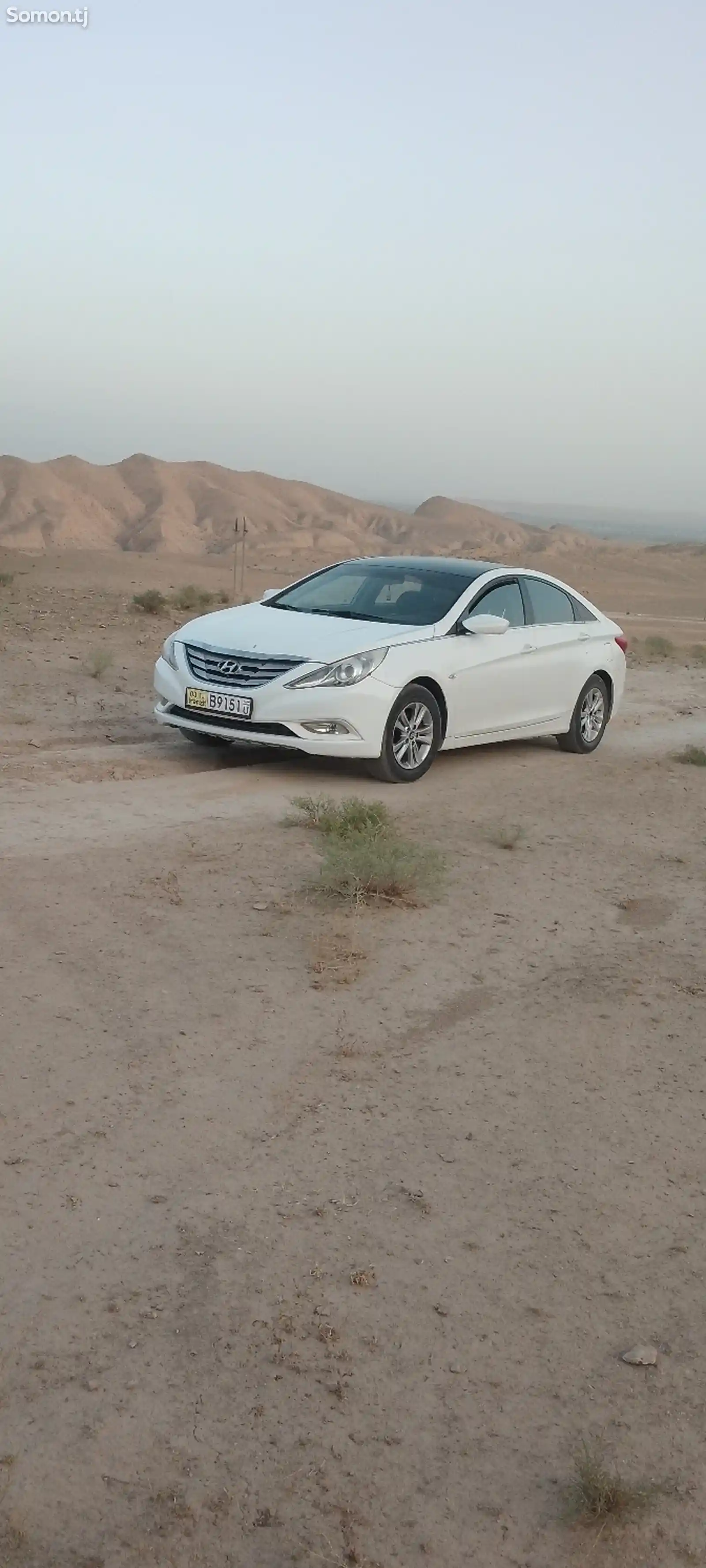 Hyundai Sonata, 2010-2