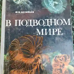 Книга В Подводном Мире
