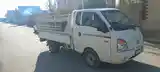 Бортовой автомобиль Hyundai Porter, 2007-2