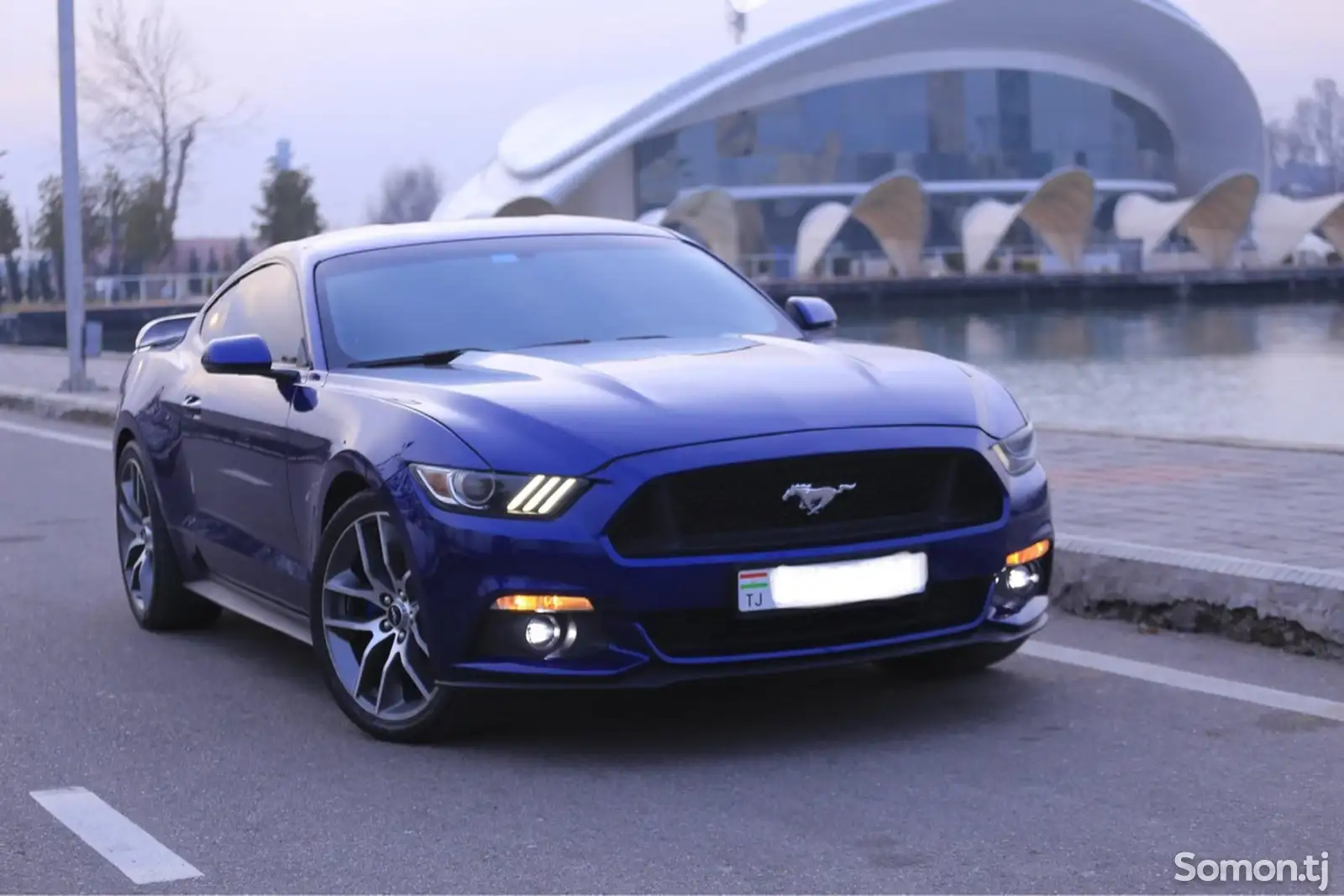 Ford Mustang, 2016-1