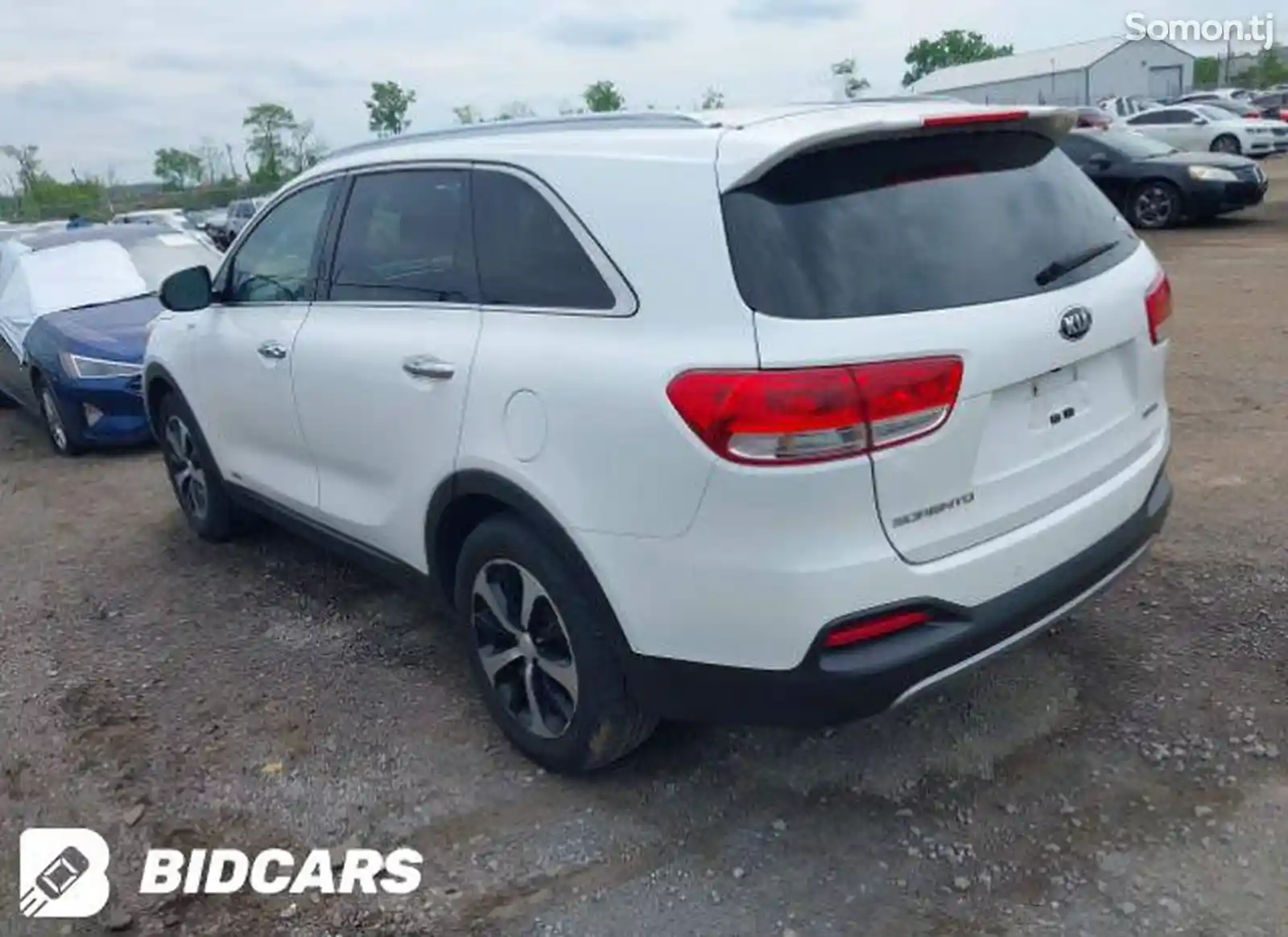 Kia Sorento, 2018-3