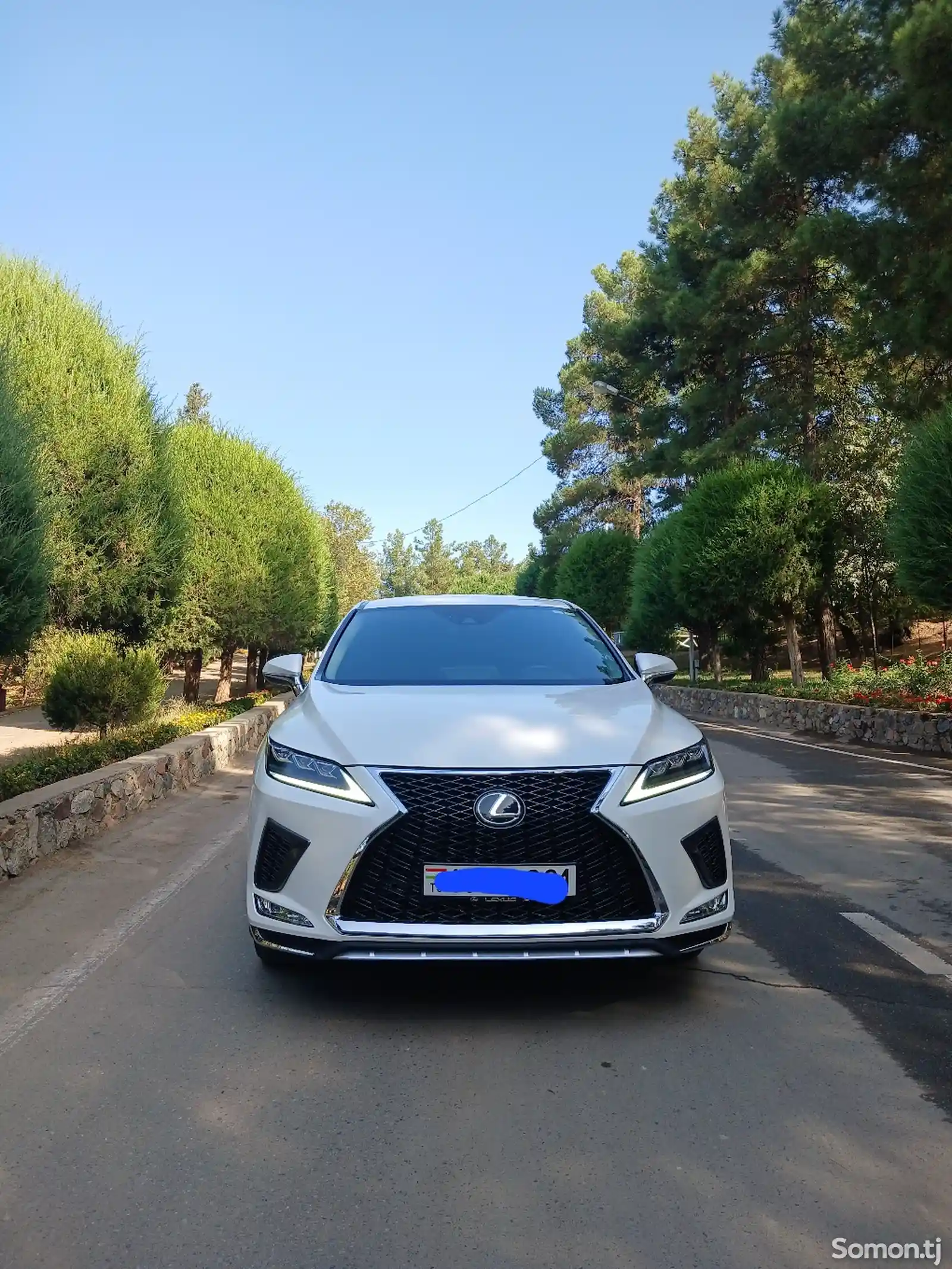 Lexus RX series, 2021-2