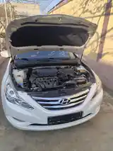 Hyundai Sonata, 2010-10