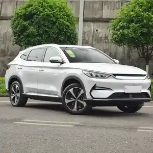 BYD , 2024