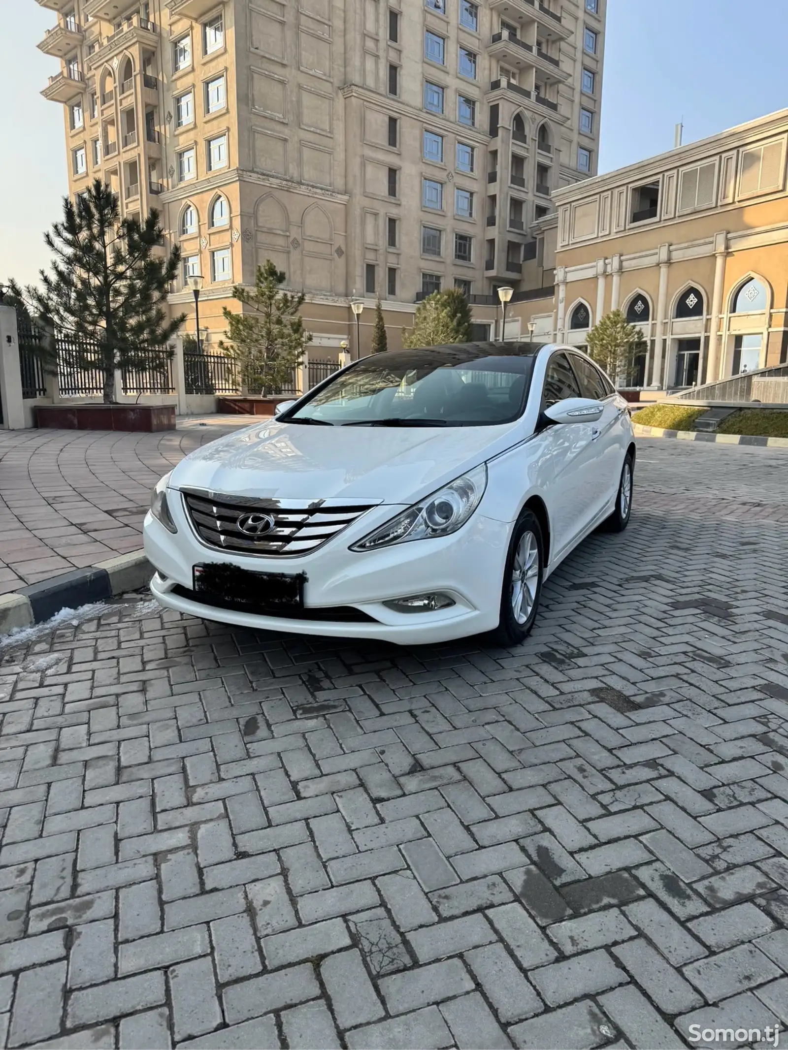 Hyundai Sonata, 2010-1