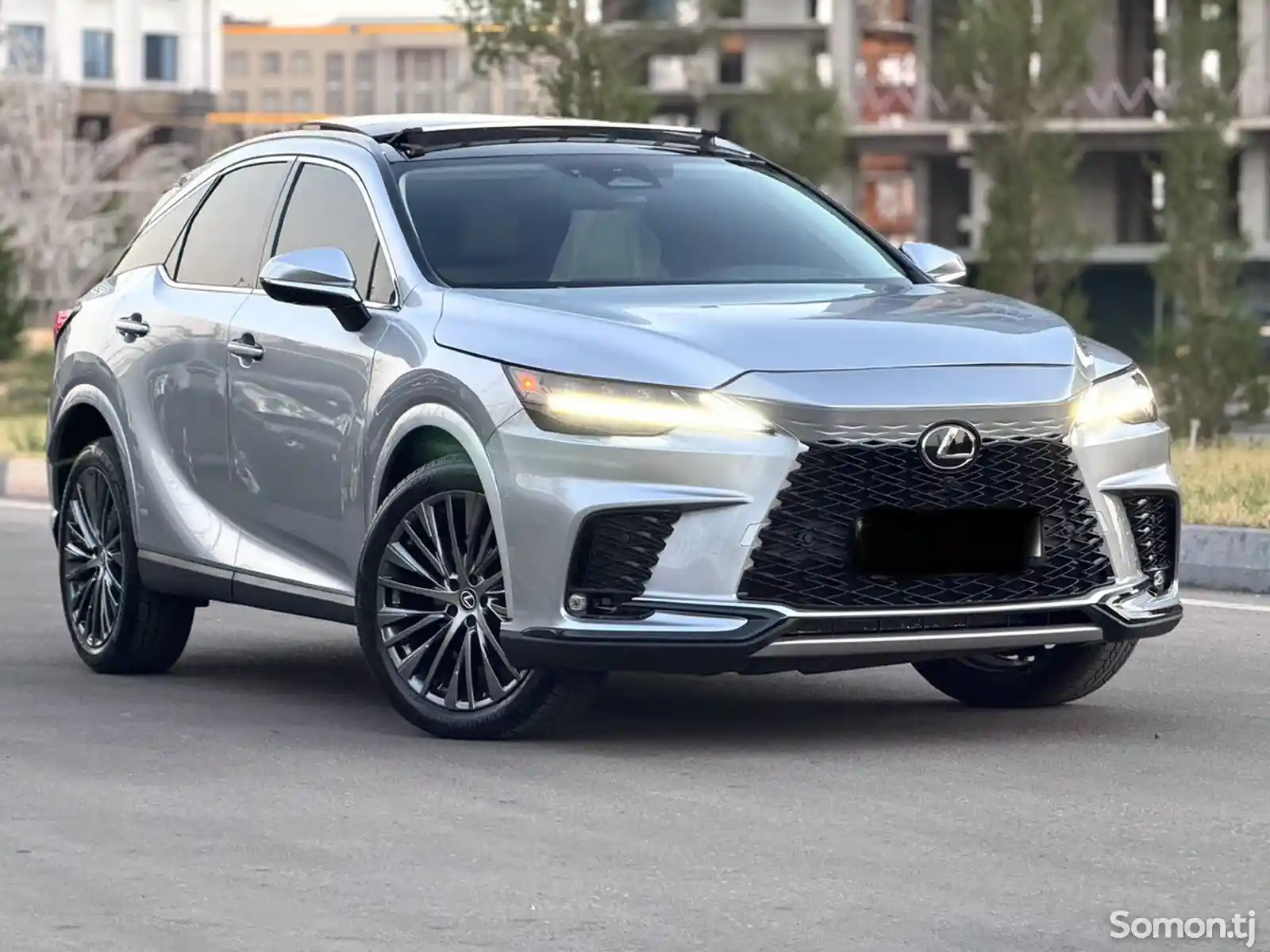 Lexus RX series, 2024-5