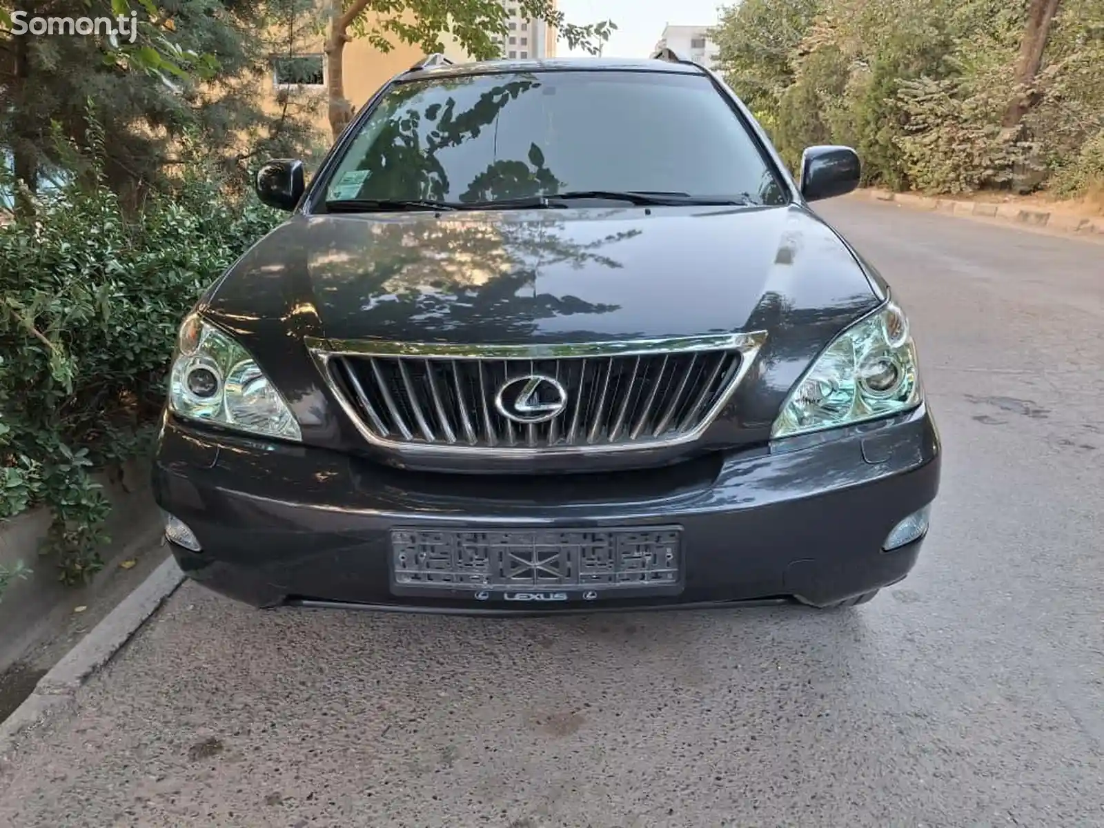 Lexus RX series, 2009-10