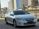 Toyota Camry, 2012-8