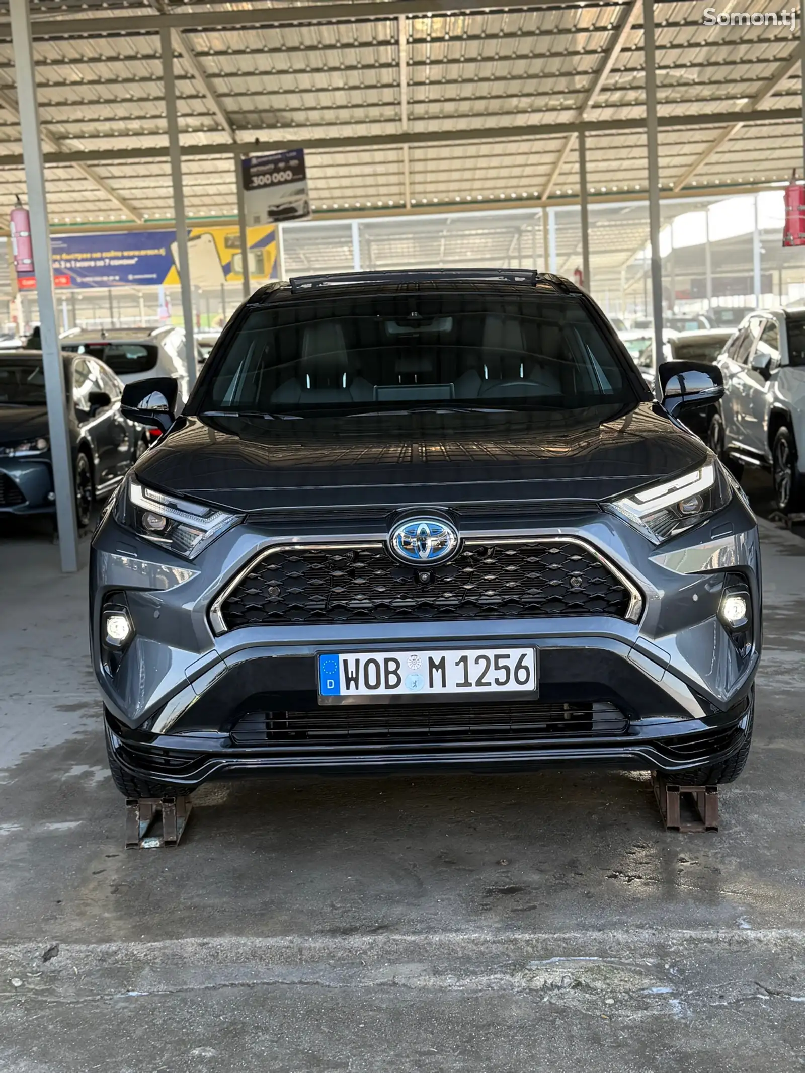 Toyota RAV 4, 2023-1