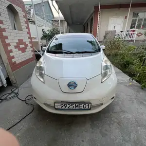 Nissan Leaf, 2012