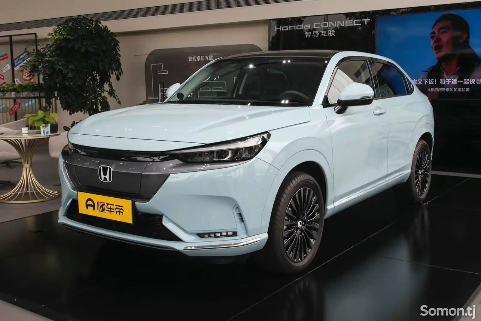 Honda XNV, 2022-10