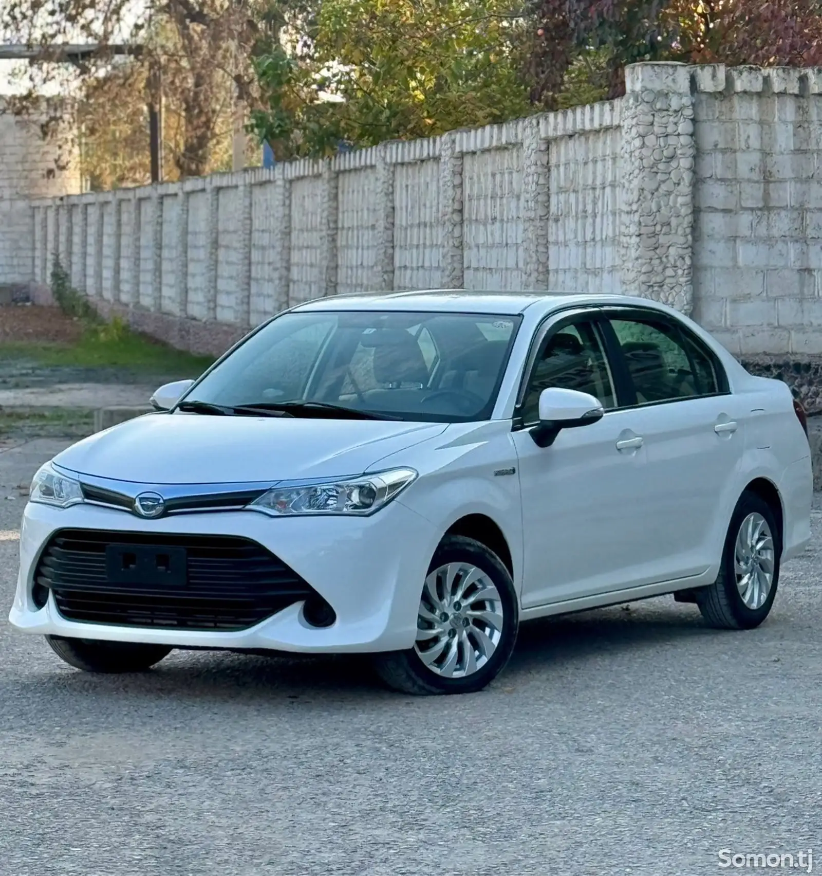 Toyota Axio, 2016-1