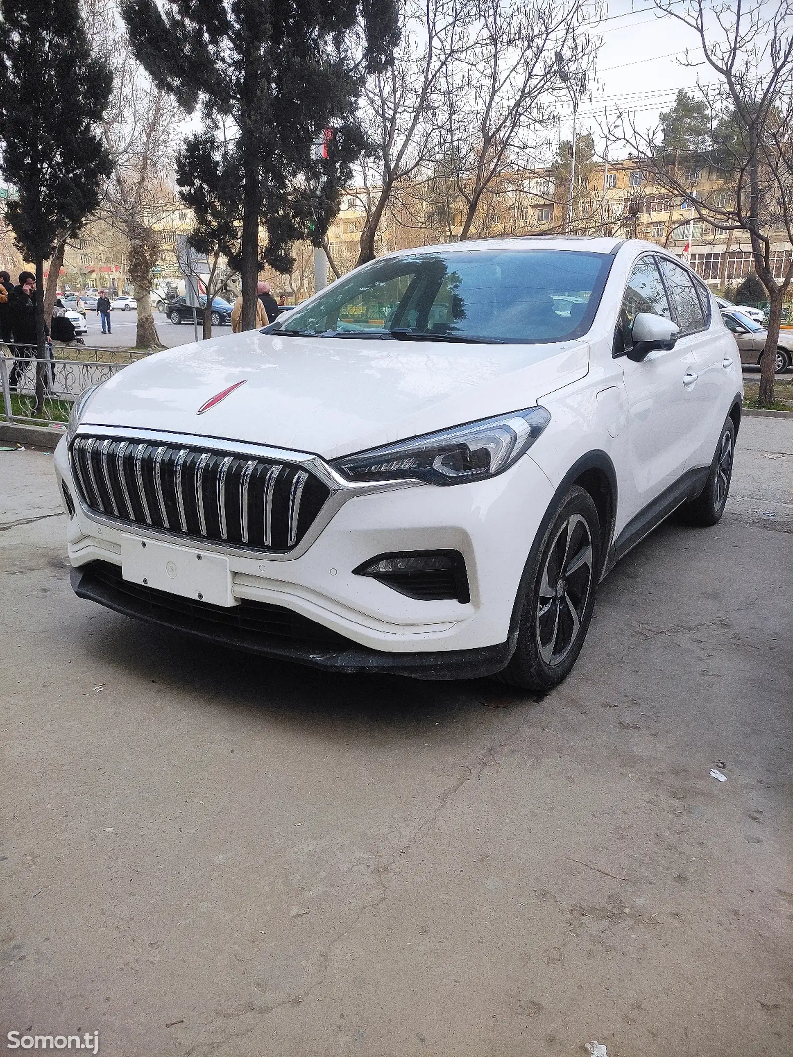 Hongqi E-HS3, 2019-1