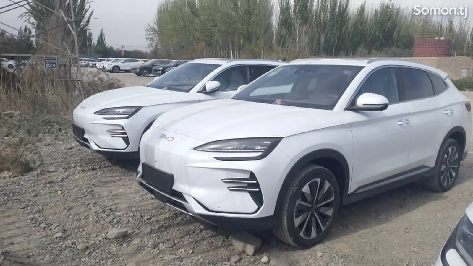 BYD Song Plus Flagship, 2024-1