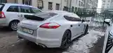 Porsche Panamera, 2014-8